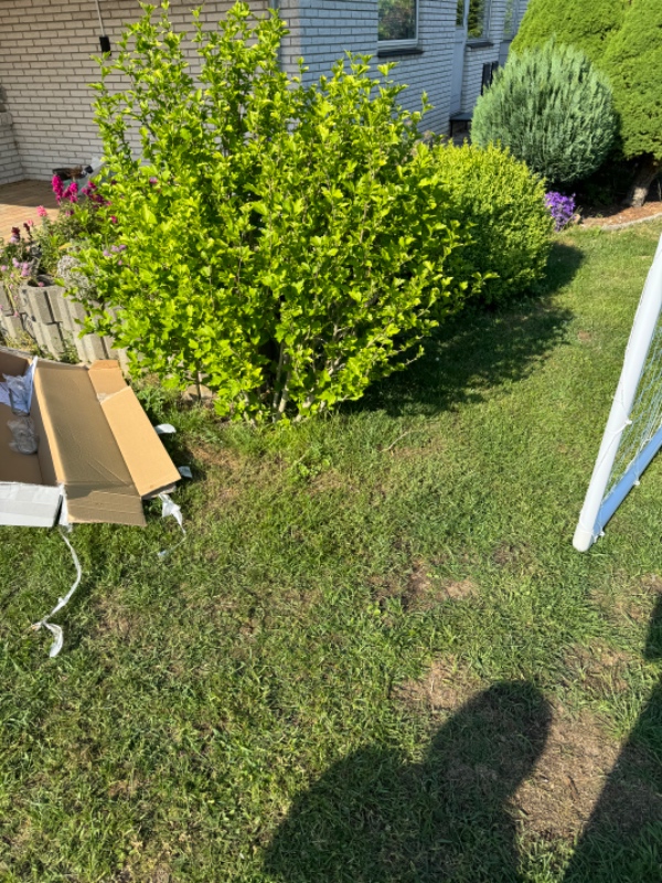 Udgravning til trampolin og træer