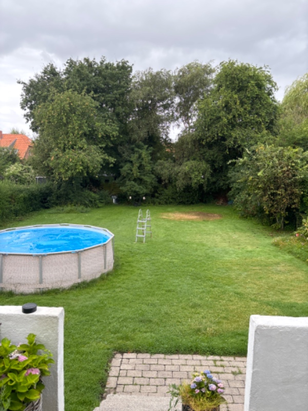 Hækklipning og græsslåning 