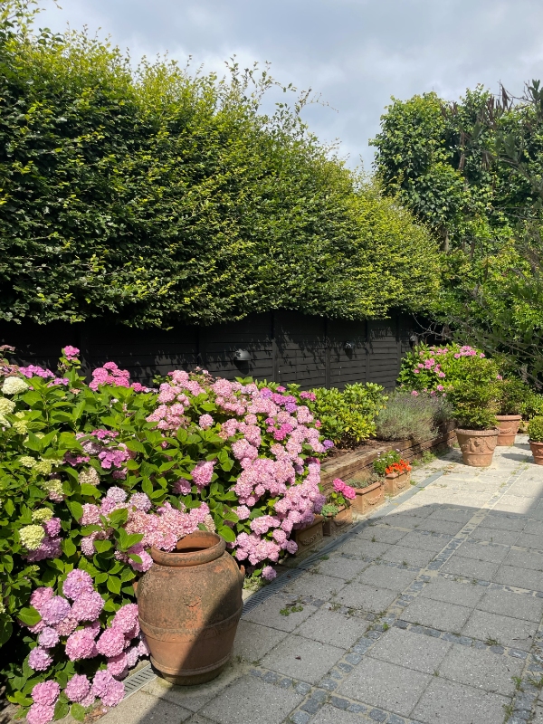 Klipning af hæk og fjernelse af ukrudt ved fliser og bede