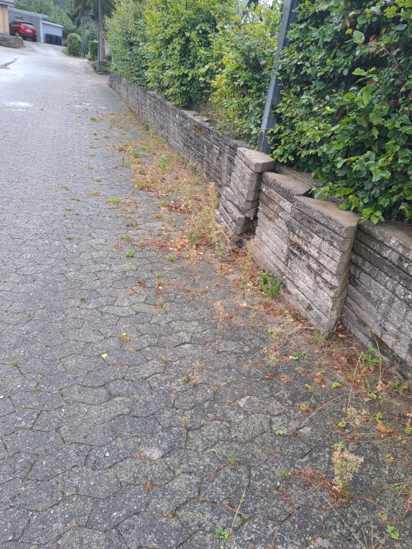 Ukrudt fjernelse og hæk klipning