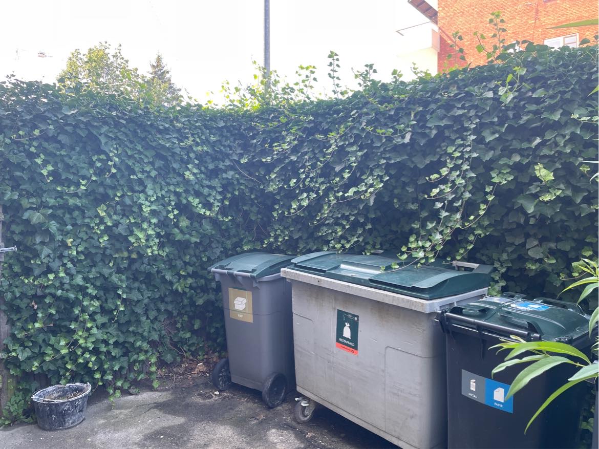 Klippe hæk og kører grøntaffald til genbrug