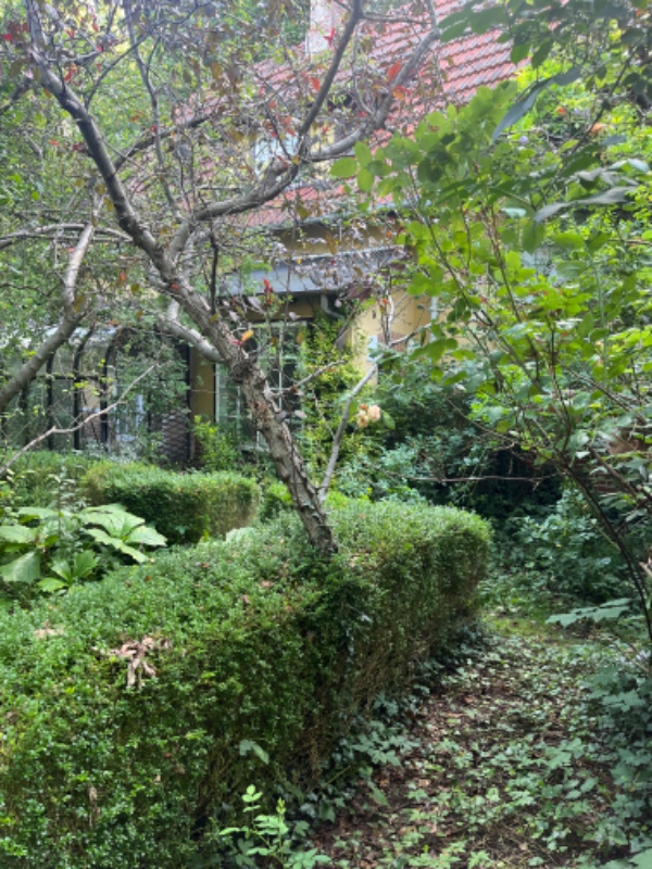 Flytning af 4 æbletræer