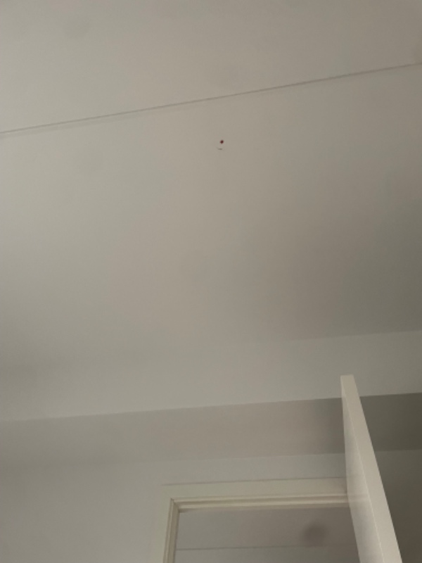 Opsætning af lampe