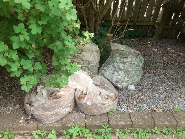 Haveaffald køres væk