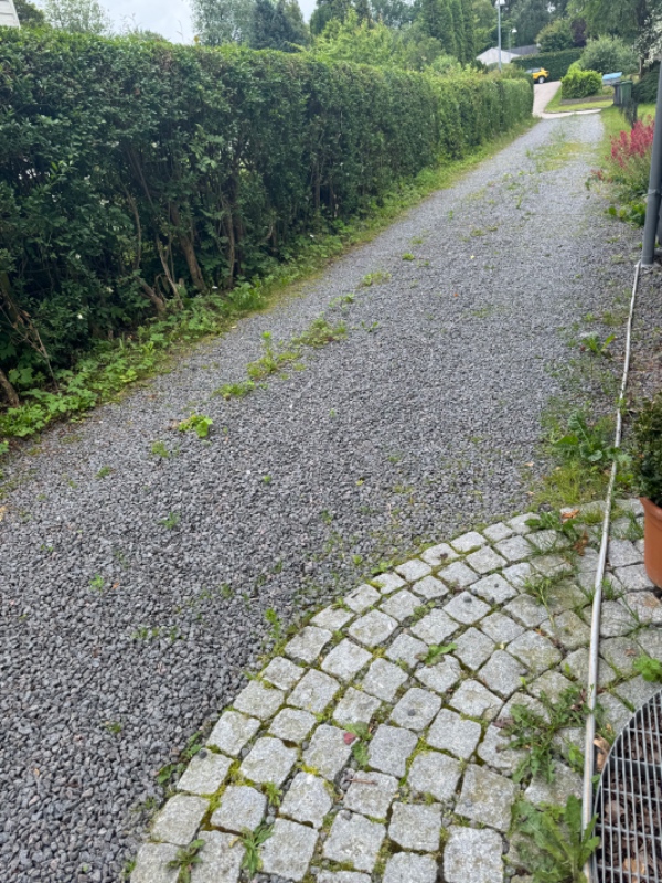 Rensning af indkørsel for ukrudt