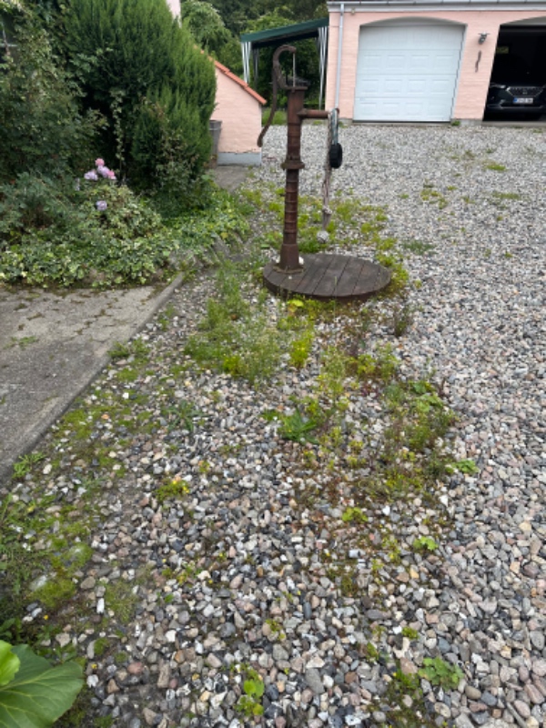 Ukrudt, trimning og generel havearbejde