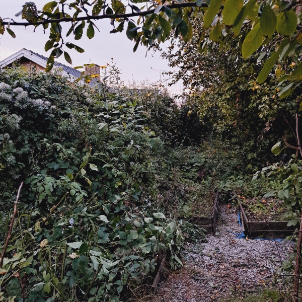 Tær gravning og haven arbejde