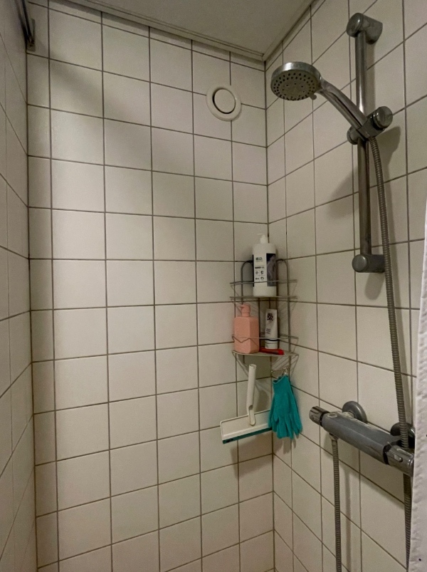 Rengøring på bruserummet + fjerne skimmelsvamp