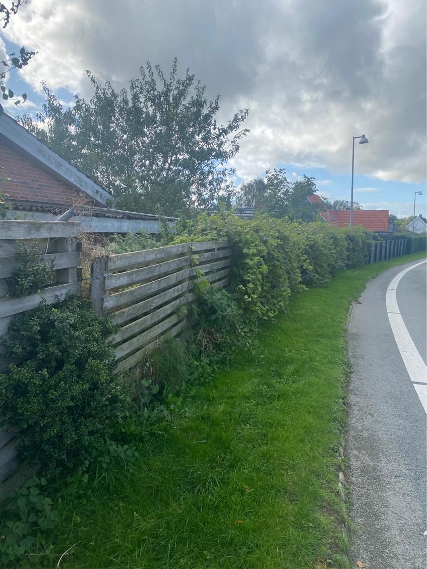 Bortskaffelse af kompost/jordbunke på ca. 10m3 bag skur. Let tilgængelig adgang med maskiner. Maskiner skal selv medbringes.