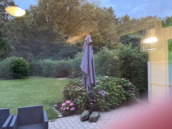 Hækklipning før 16. juli