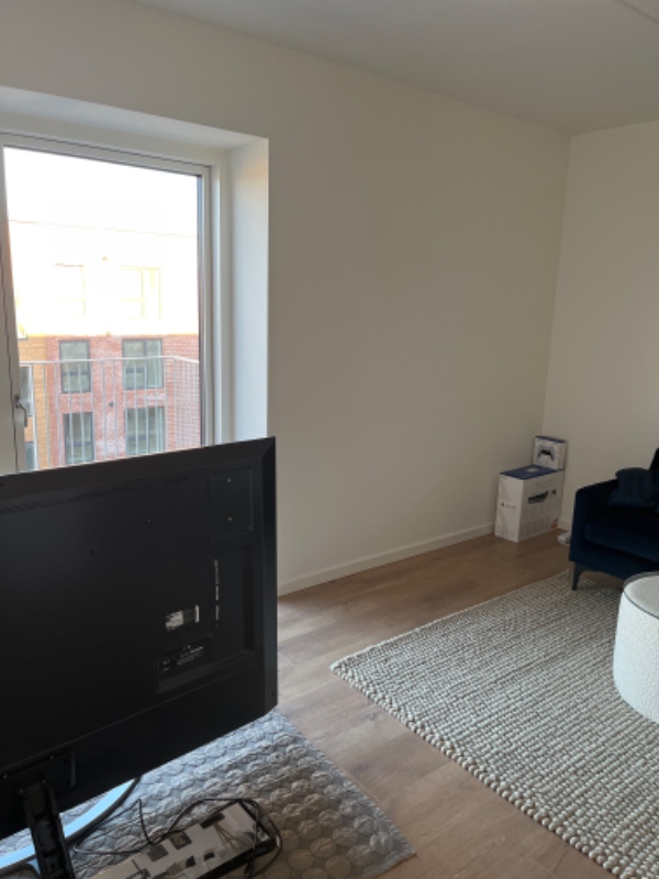 HASTER - 3 lamper i tag + fjernsyn på væg(75 tommer)