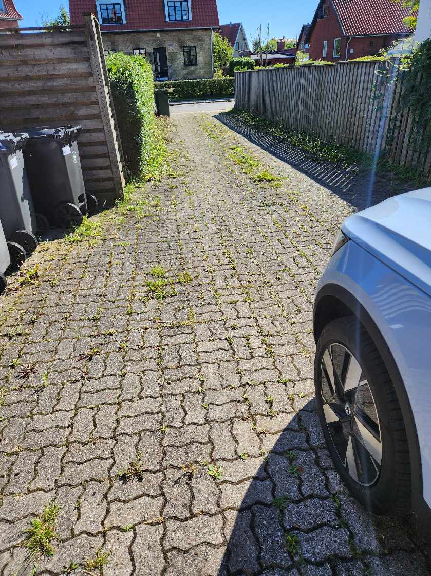 Ukrudt mellem fliser