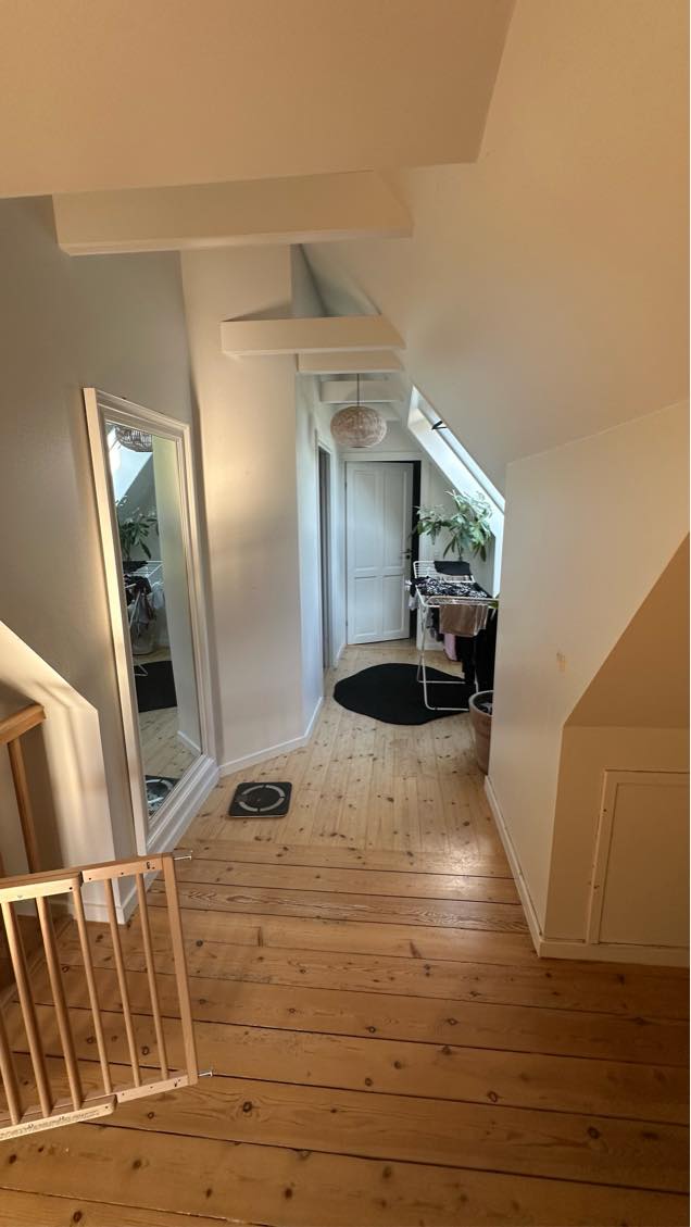 Grundig rengøring af hus 158 m2