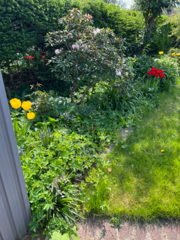 Havearbejde i kolonihave