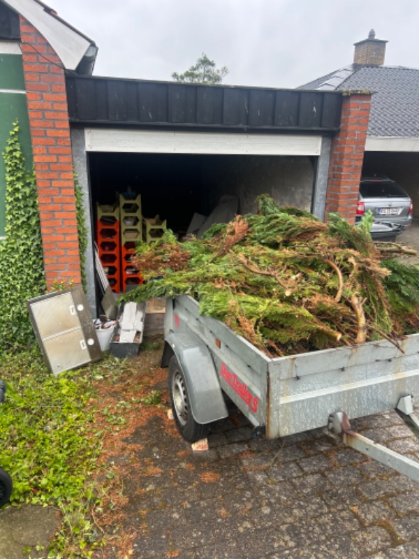 Sortering og transport af affald