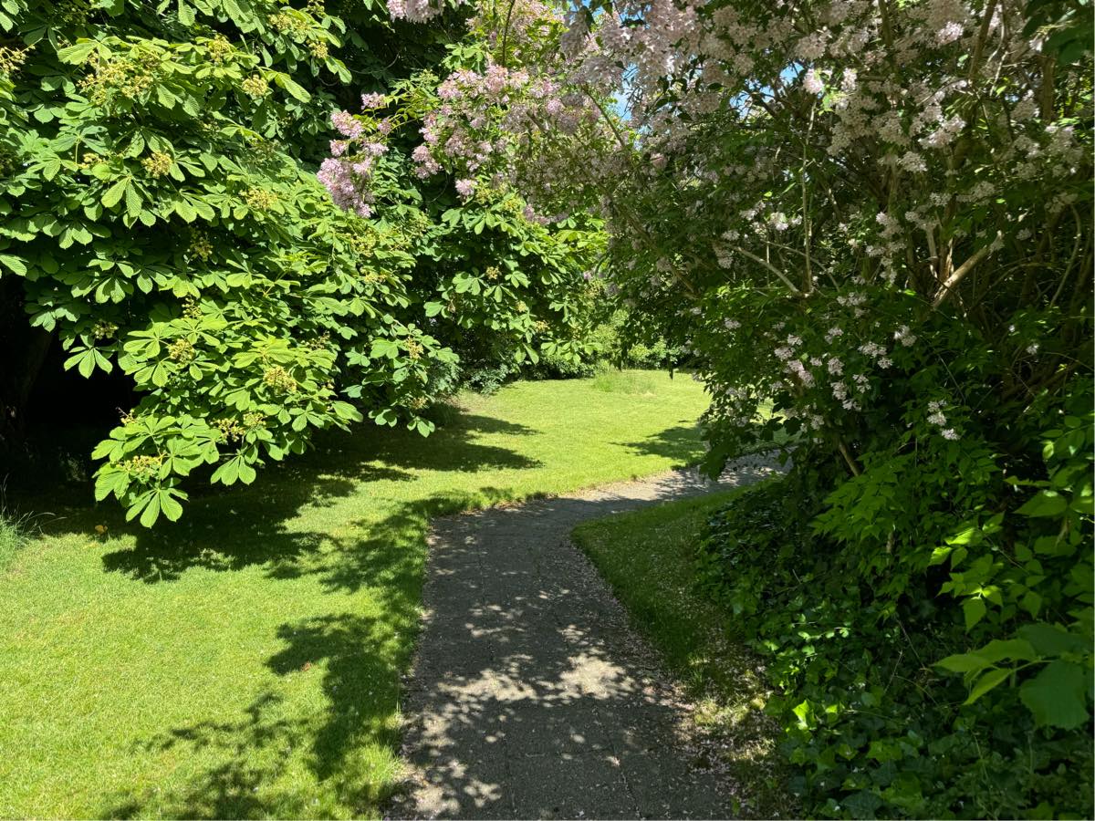 Havearbejde og andet forefoldende vedligeholdelse arbejde