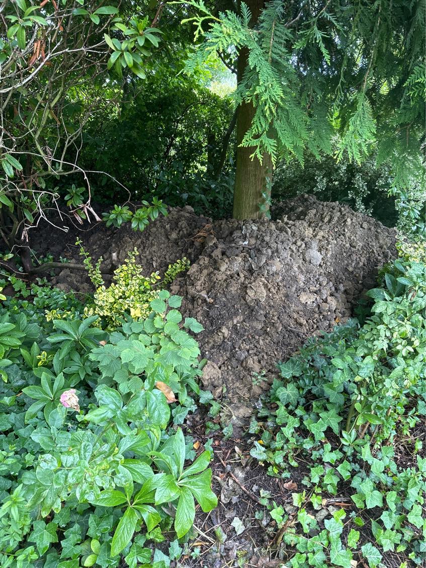 Fjernelse af jord fra udgravning til trampolin