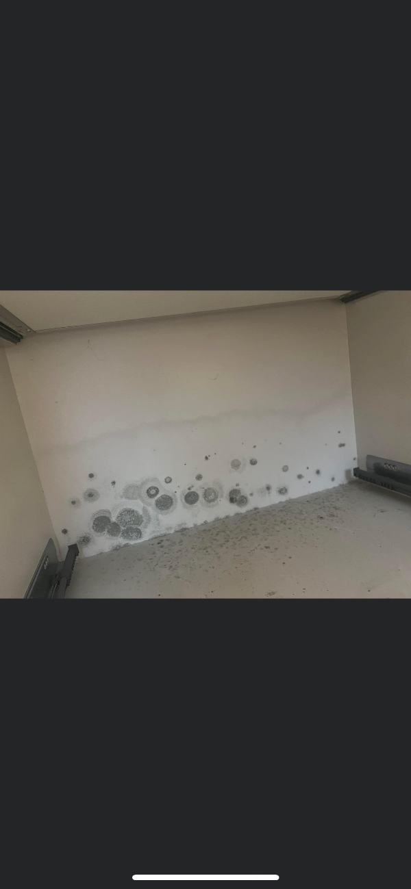 Vi har opdaget svampevækst på en bagbeklædning i et køkkenskab, ud mod en ydermur i en lejlighed.