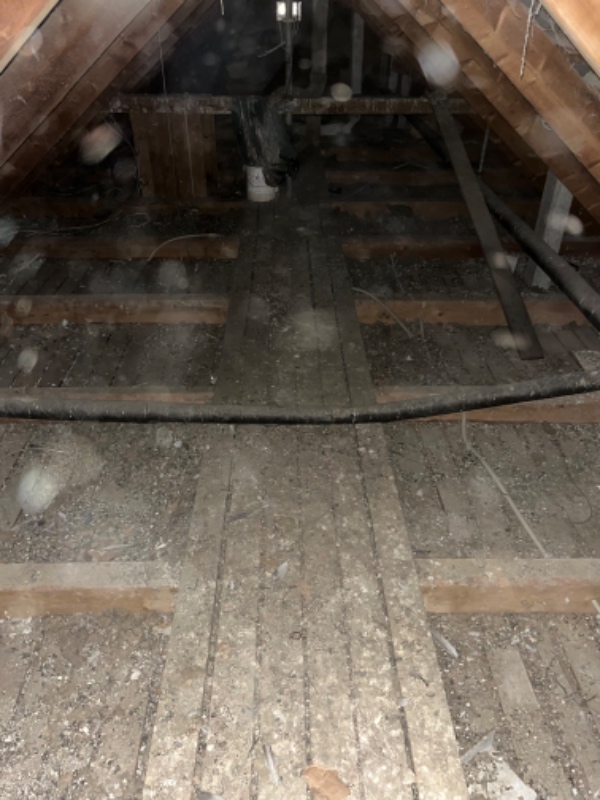 Fjerne fugleklatter og 1 madras m.m.