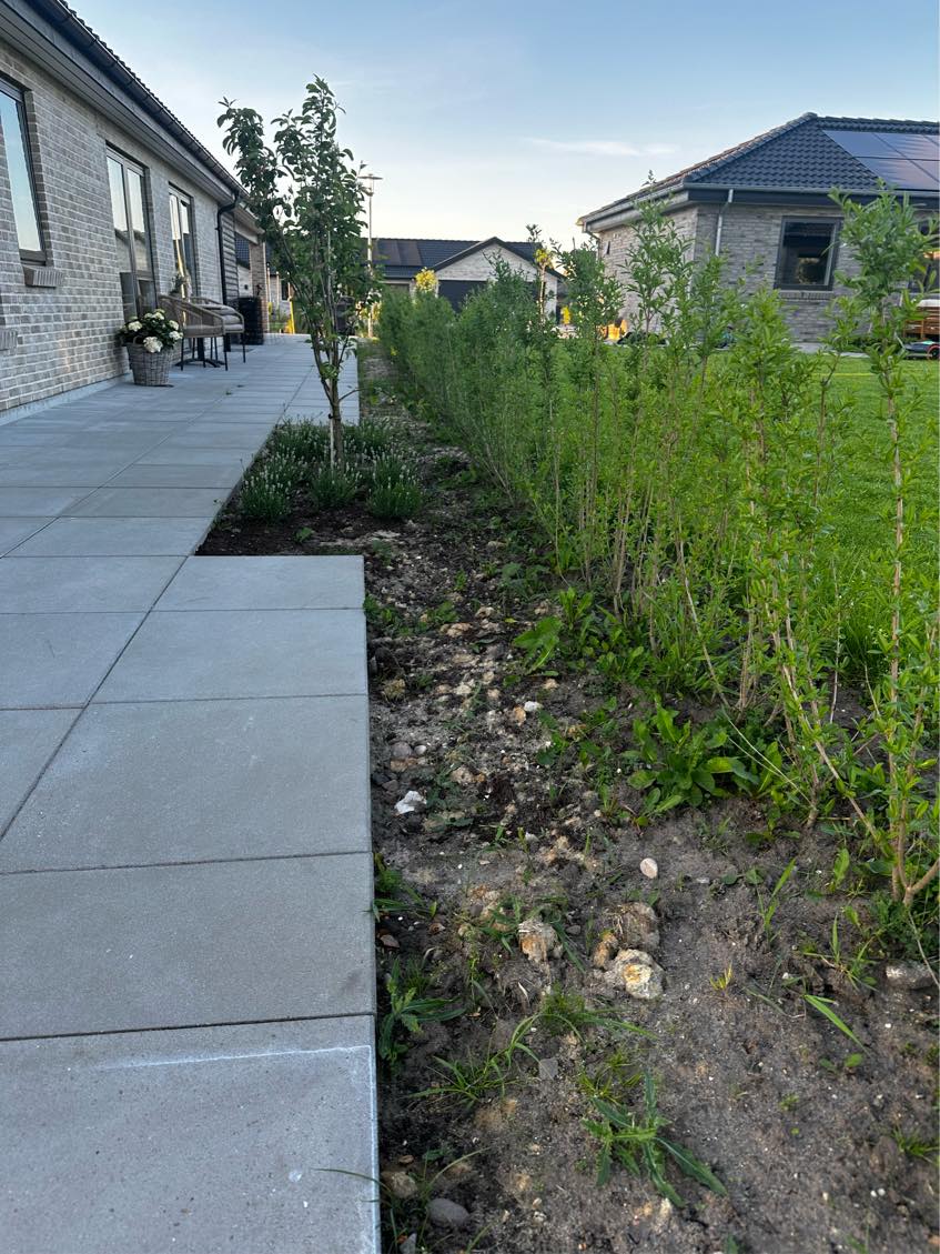 Ukrudt ved 2 langsider + lidt mellem fliser