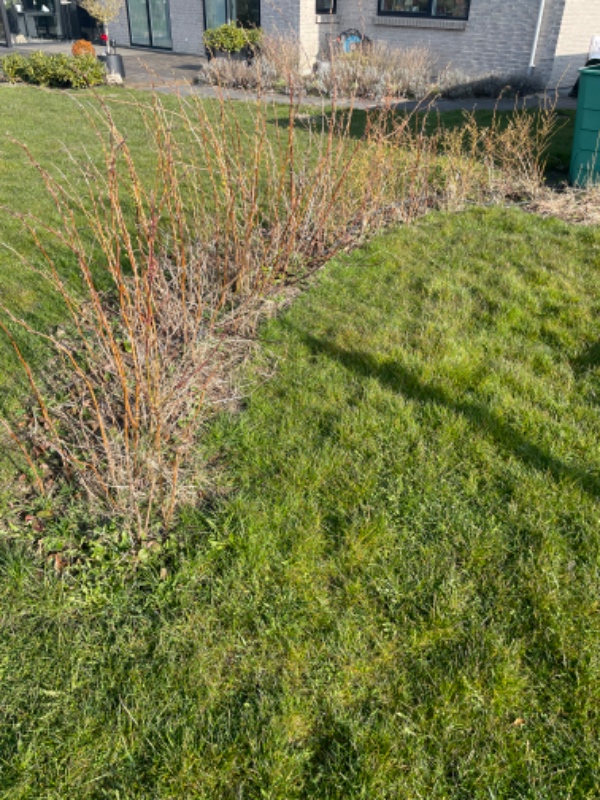 Lægge fliser som kant til bed