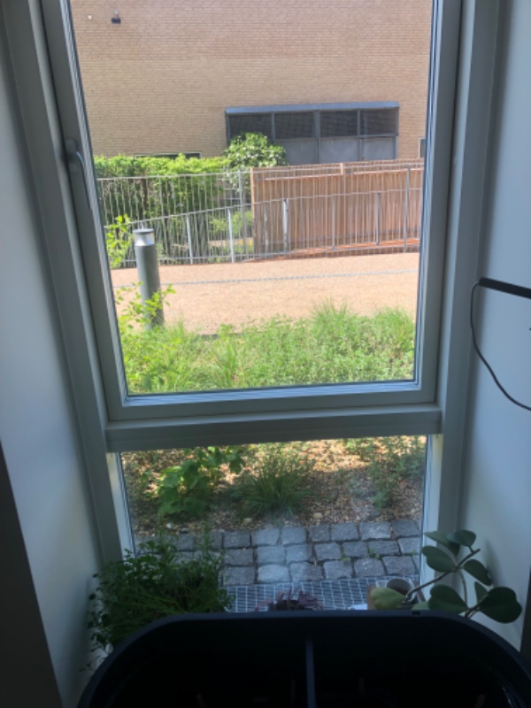 Vinduespudsning i lejlighed idag