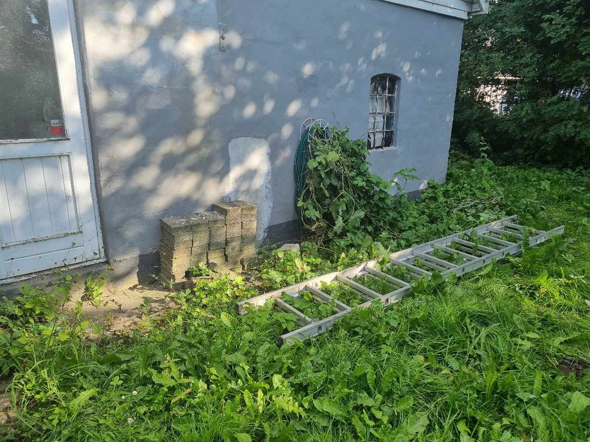 Hjælp efter overtagelse af ca 80 kvm have