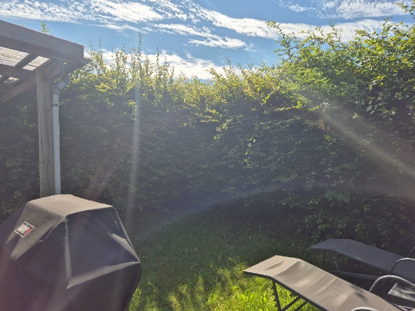 Hækkeklipning og fjernelse af ukrudt