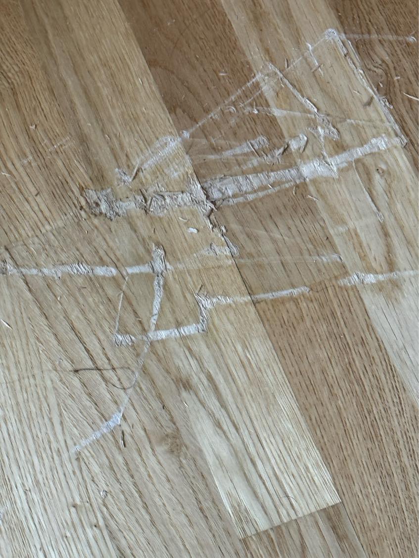 Can any one fix the floor.