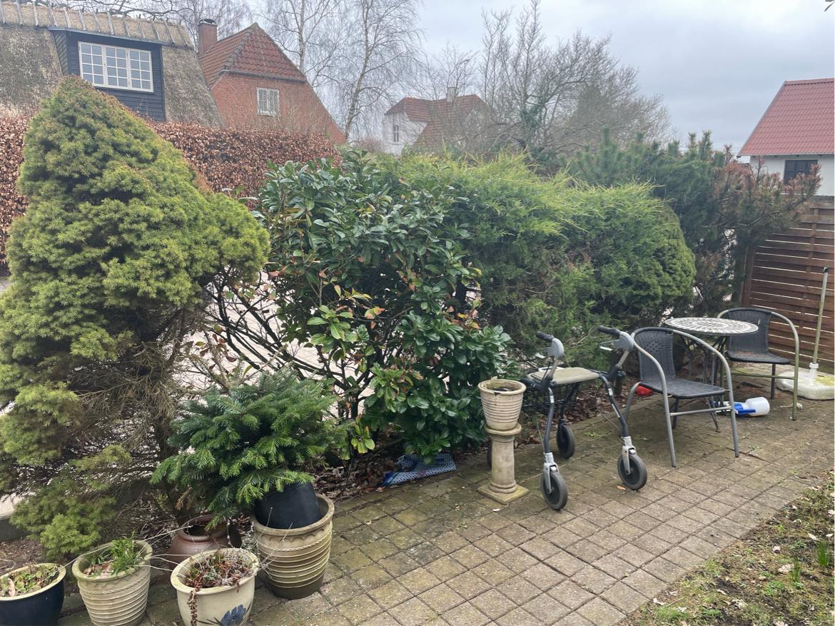 Fjern buske og klip hække