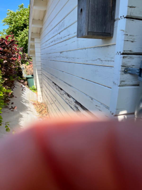 Maling af træ udhus.