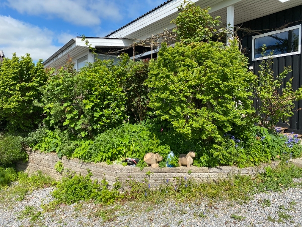 Havearbejde ved sommerhus
