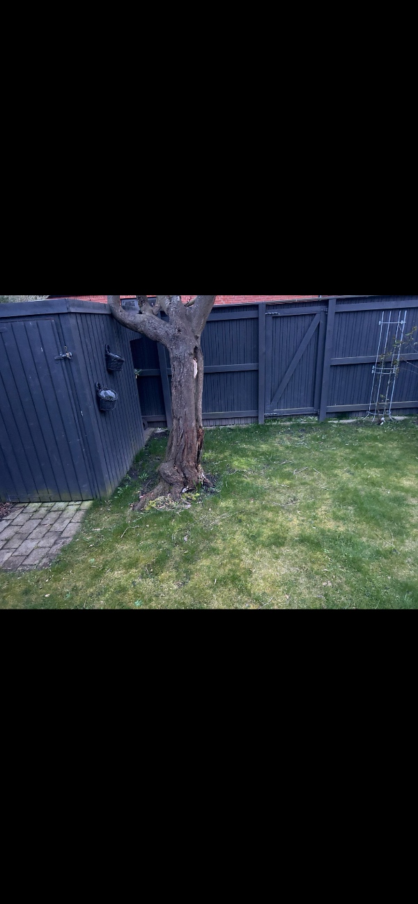 Anlægning af fliseterrasse