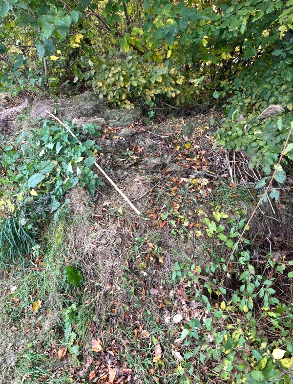 Bortkørsel af græstørv og haveaffald.