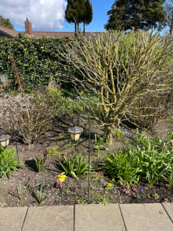 26m2 havefliser grå 40x40