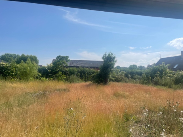 Havearbejde- rydning af have samt bortkørsel