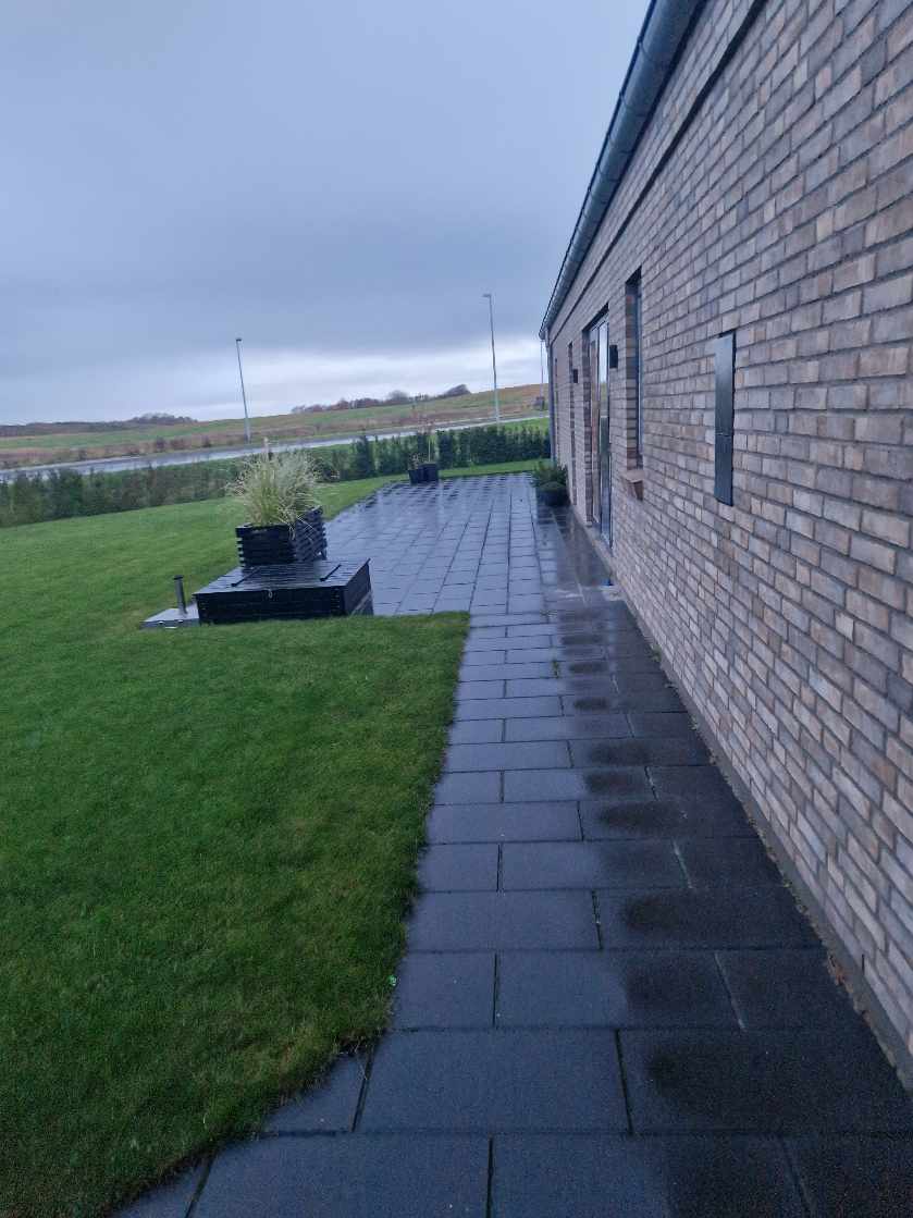 Fjernet ukrudt i hæk, bede og mellem fliser