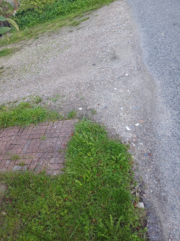 Ukrudt og græsslåning