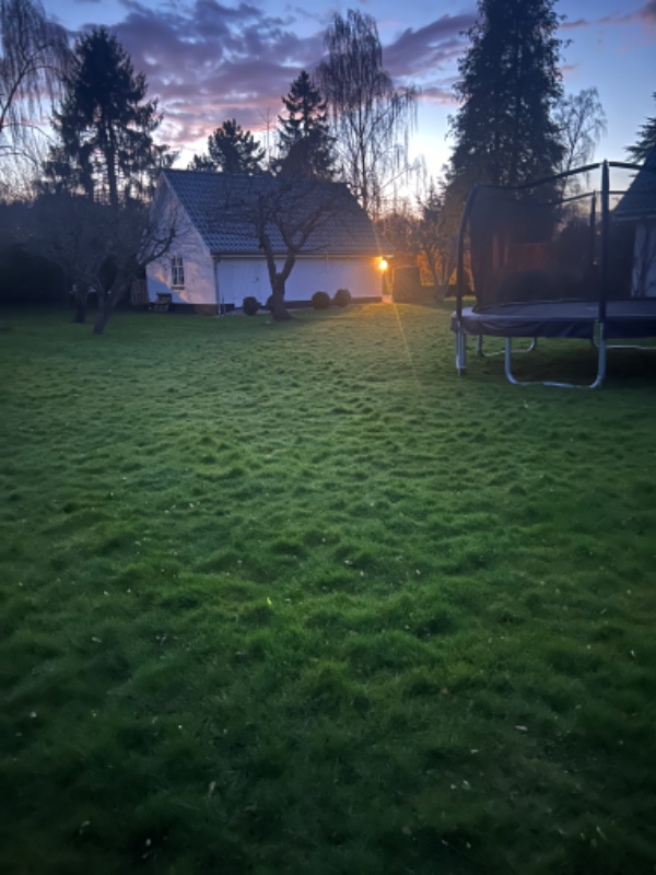 Etablering af Berg trampolin