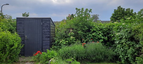 Hækklipning og bortskaffelse