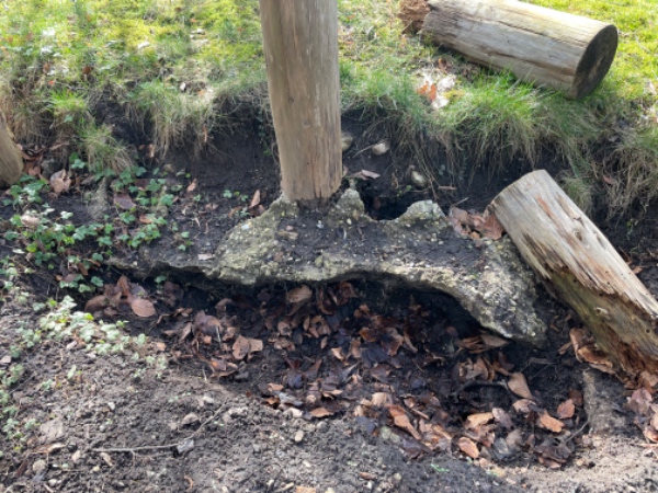 Fjernelse af træ-stolper