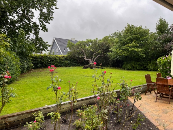 Fjerne et væltet træ