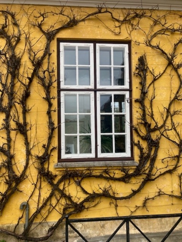 Vinduespudsning af 37 vinduer/døre