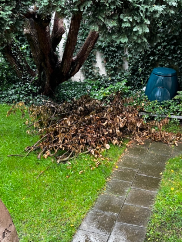 Skal have hentet noget affald