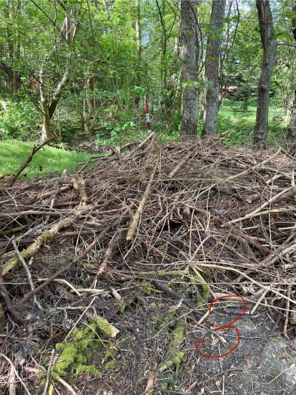 Haveaffald kørsel til genbrugsstation