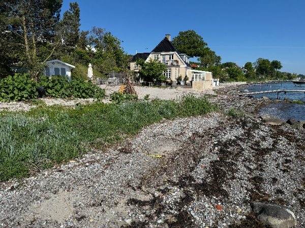 Fjernelse af ukrudt i Nordsjælland