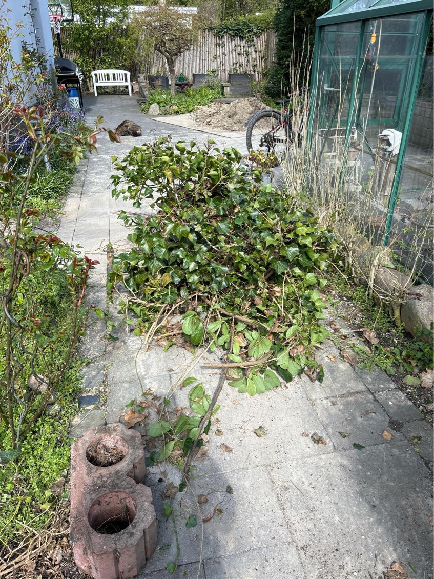 Afhentning haveaffald