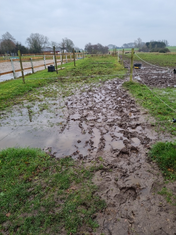 Muddersikre hestefolde