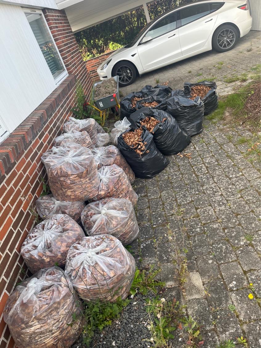 Bortkørsel af affald