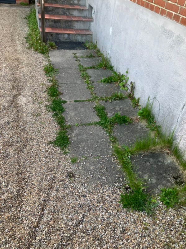 Fjernelse af fortoveukrudt